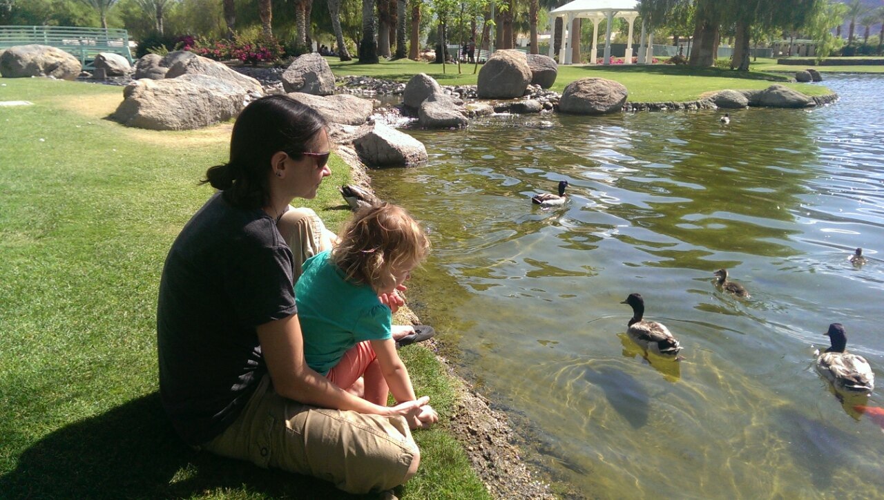 at the lake